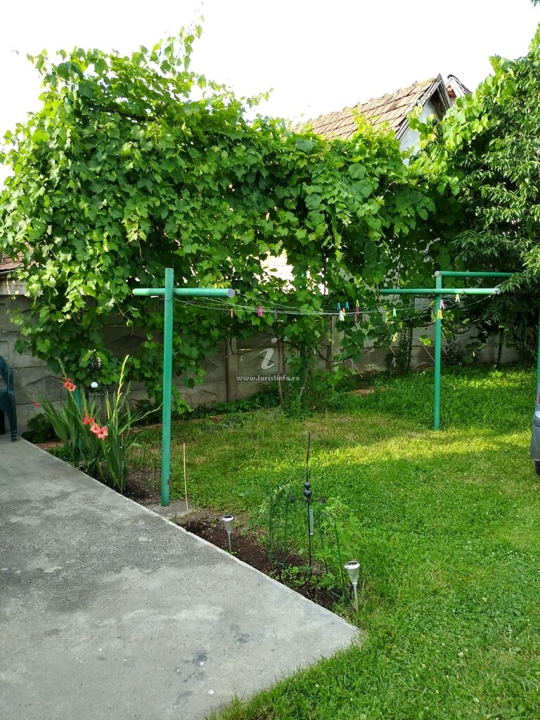 Pensiunea Casa Ciortea