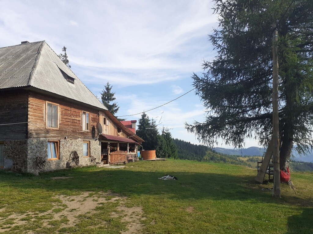 Cabana Vârful Muntelui