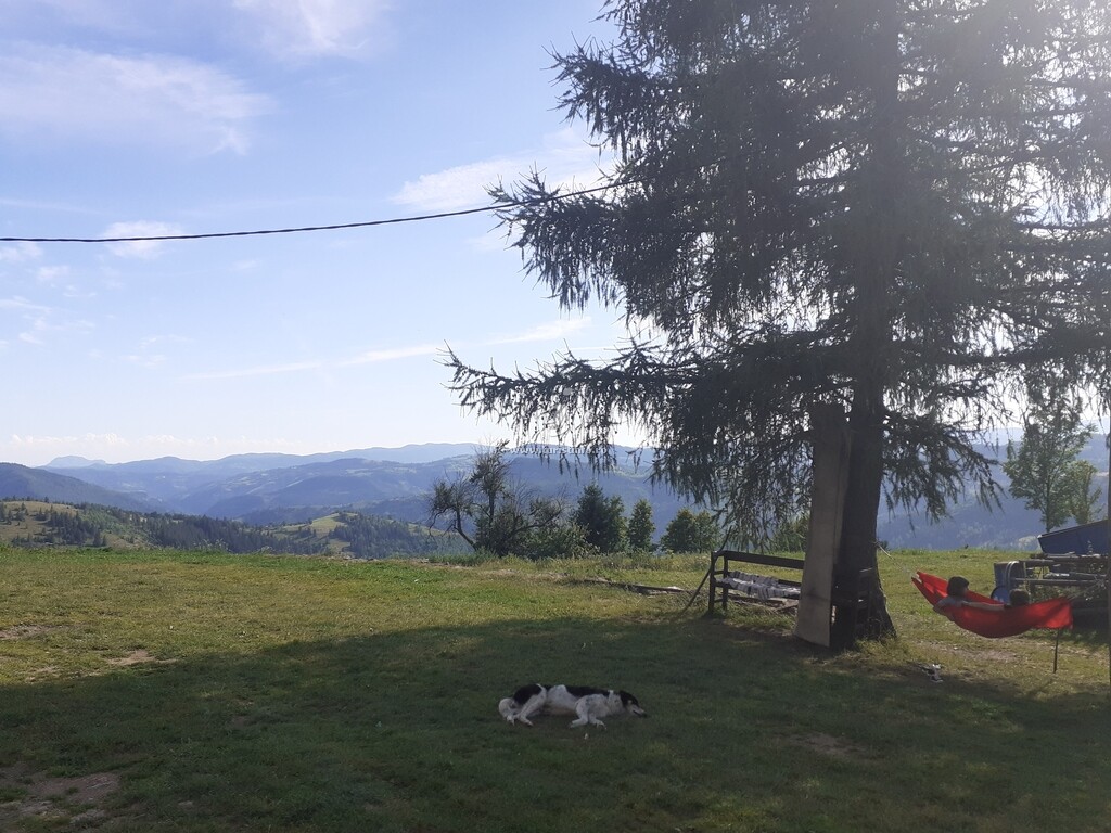 Cabana Vârful Muntelui
