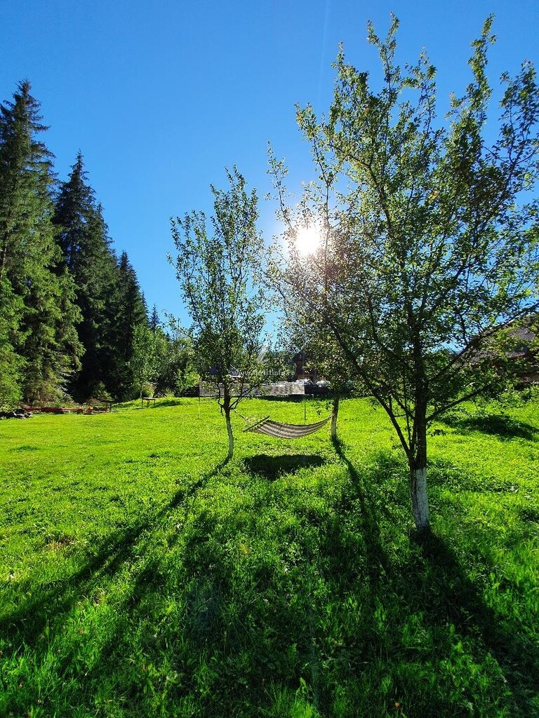 Camere de închiriat Casa Nadia