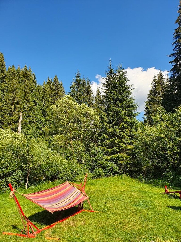 Camere de închiriat Casa Nadia