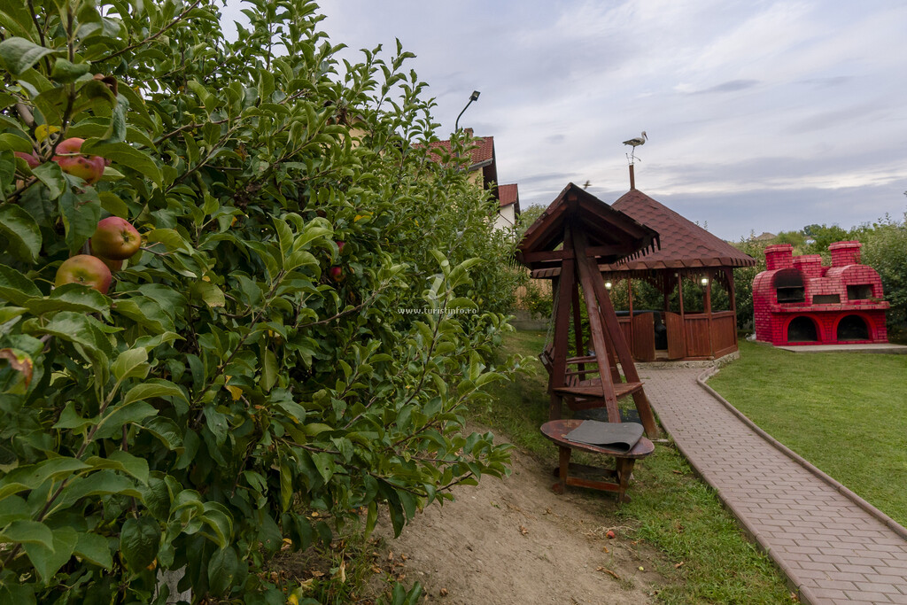 Casa Nițu