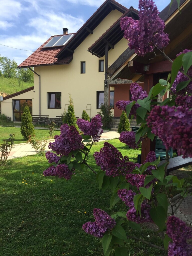 Pensiunea 7 Brazi