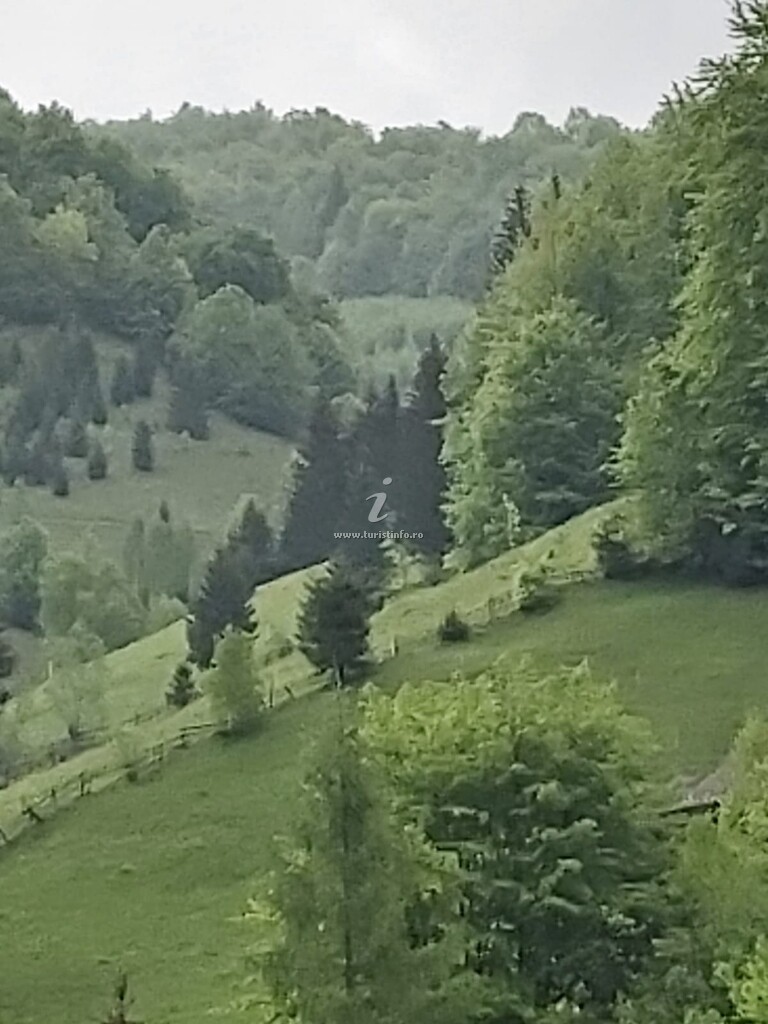 Pensiunea Casa Ramona