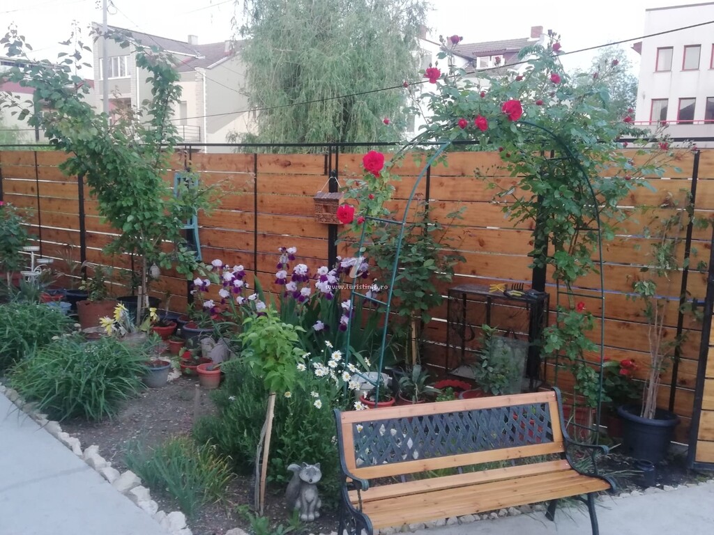 Casa George