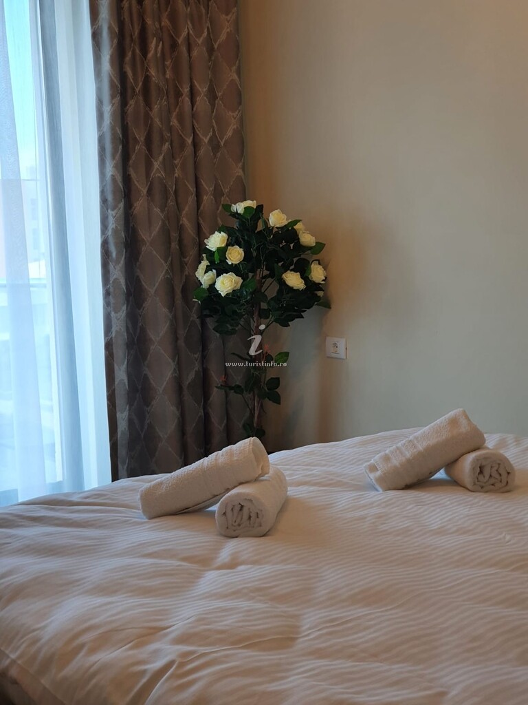 Apartament Raluca Dreaming 2