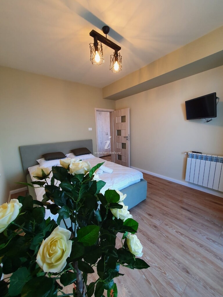 Apartament Raluca Dreaming 2
