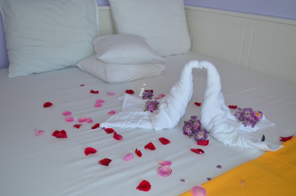 Vila Camelia