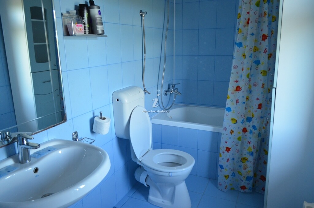 Vila Camelia