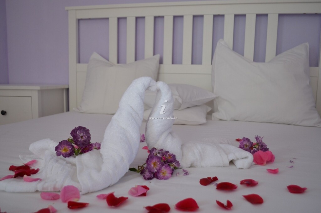 Vila Camelia