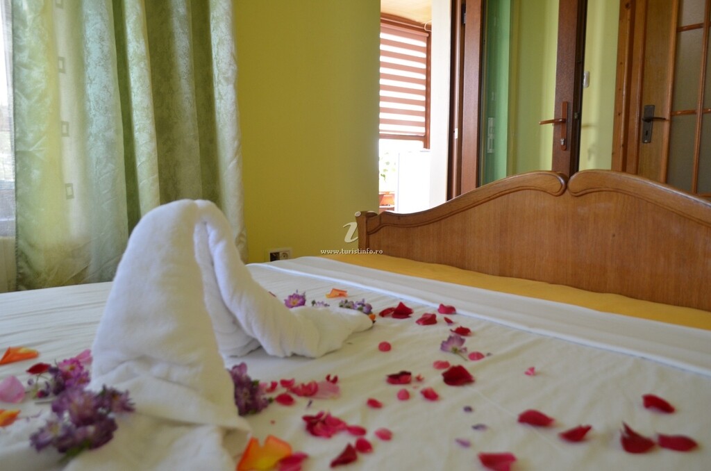 Vila Camelia
