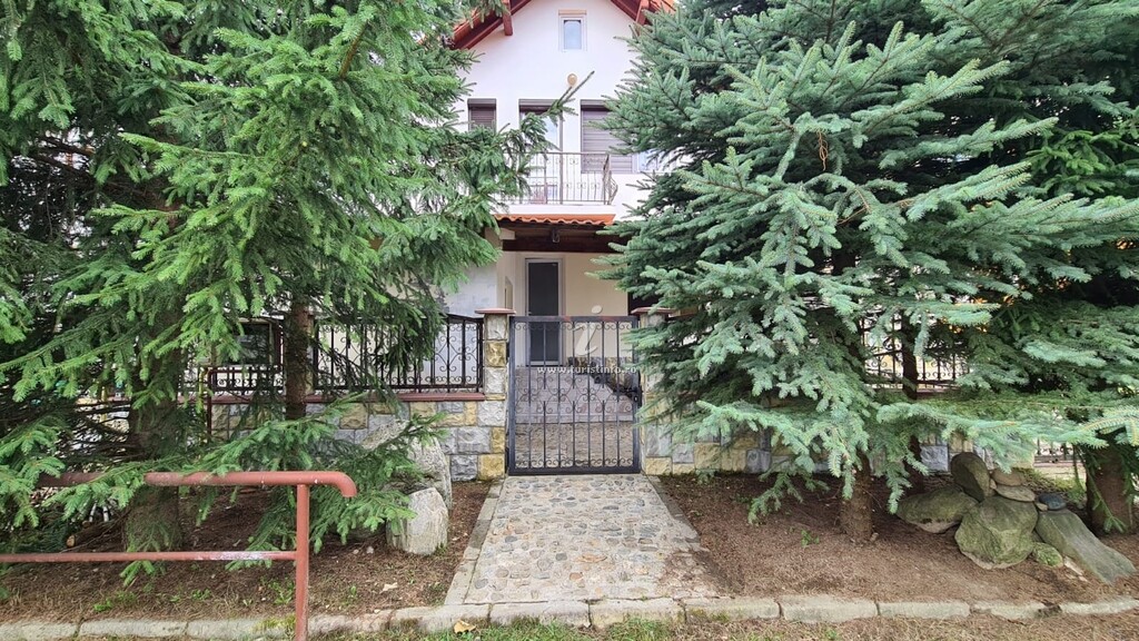 Vila Olteanu