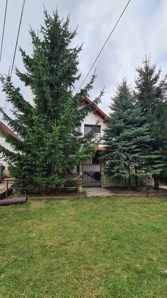 Vila Olteanu