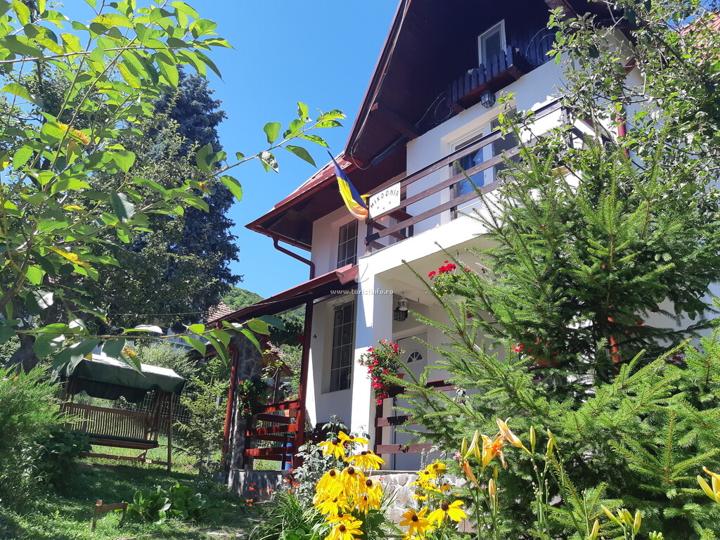 Vila Mikdonia