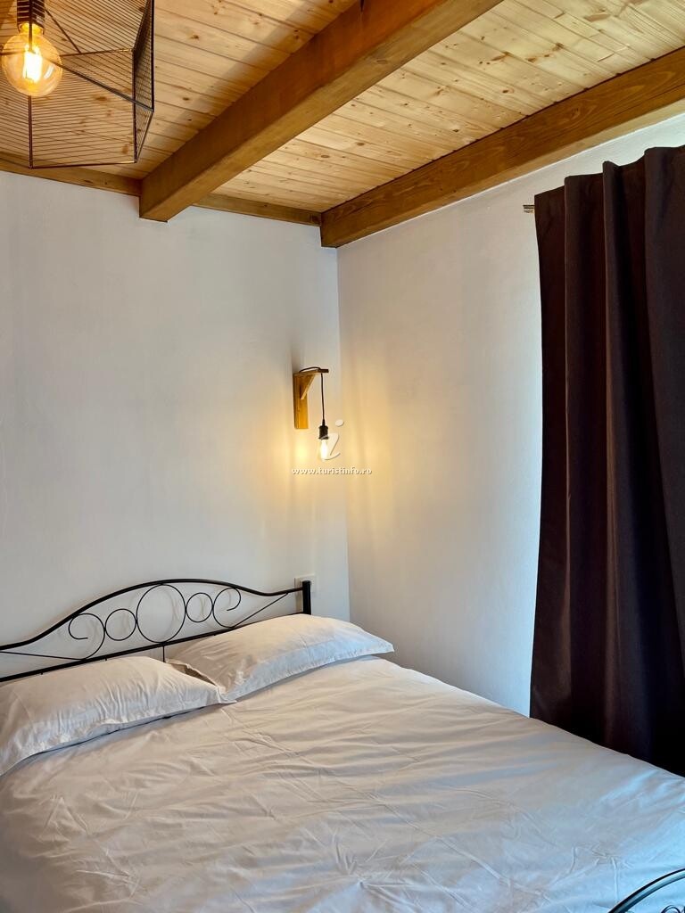 Cabana dintre Fagi