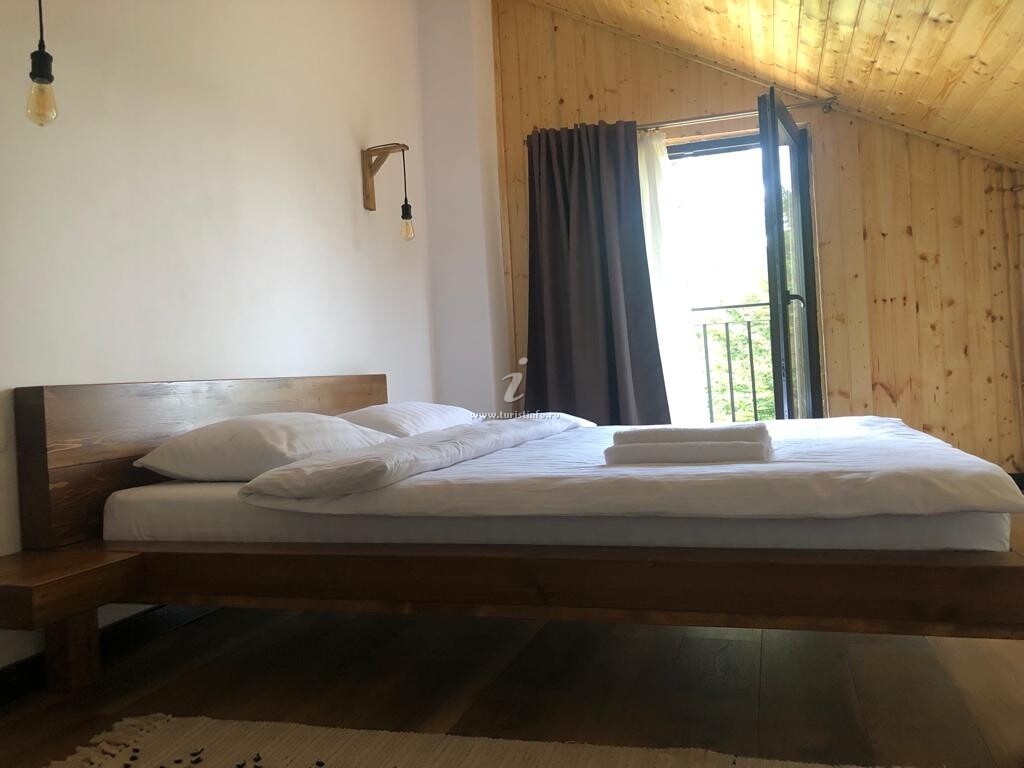Cabana dintre Fagi