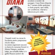 Casa de vacanță Diana Sulina