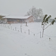 Casa Octav & Geta Dunavățu de Jos